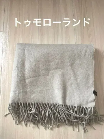 투모로우랜드 머플러