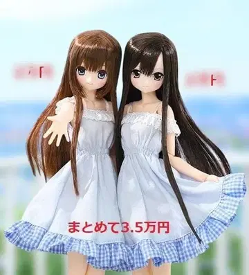 아존 사라즈 아 라 모드 마야 베리 브라운 & 리세 다크 브라운