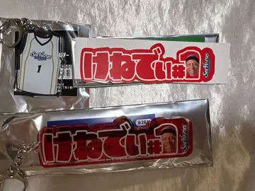 시호스 미카와 토마스 케네디 선수