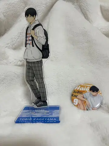 하이큐!! / 카게야마 토비오 / 아크릴 스탠드 / 배지 세트