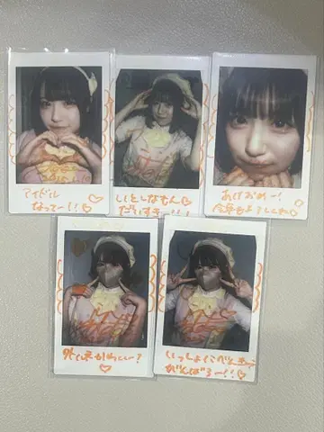 아사히나 마도카 폴라로이드