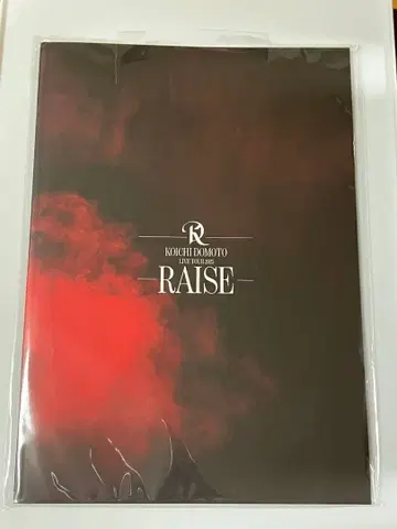 도모토 코이치 RAISE 팜플렛