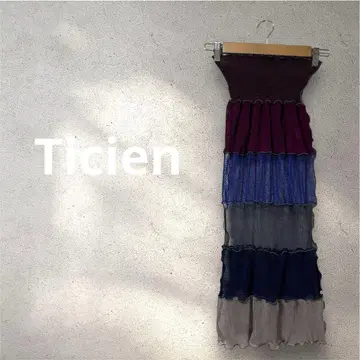 Ticien 기발한 멀티 컬러 메쉬 플리츠 롱 원피스