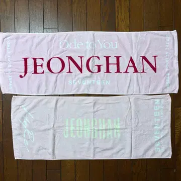 SEVENTEEN 타월 정한