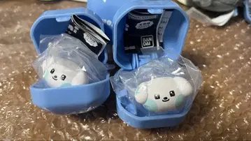 2개 세트 니니 gyunini  반지 zeroni