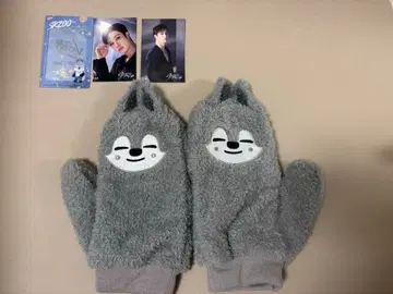 울프찬 장갑과 방찬 카드 세트