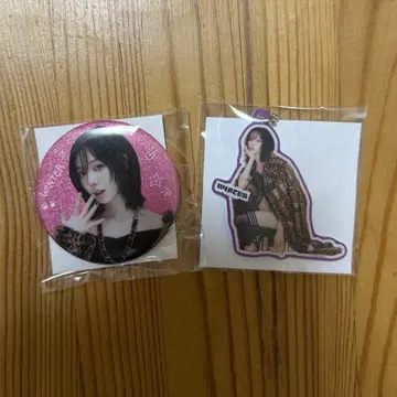 aespa 랜덤 윈터 캔뱃지