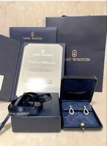 HARRY WINSTON 루프 이어링 미디엄