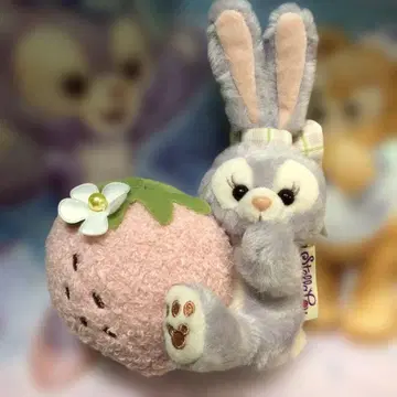 하트펠트 스트로베리 기프트 봉제 인형 참 스텔라 루