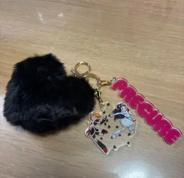 빛의 전사 프리큐어 퍼 달린 아크릴 참