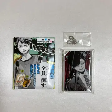 하이큐 도미노풍 아크릴 키링 컬렉션 쿠로오 테츠로