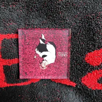 Acid Black Cherry 아크릴 마그넷 2012