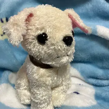 화이트 강아지 봉제 인형 약 20cm 미만