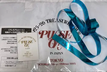 TREASURE TOUR PULSE OF IN JAPAN 가방 세트