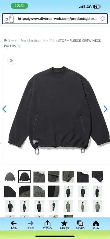 STORMFLEECE CREW NECK PULLOVER