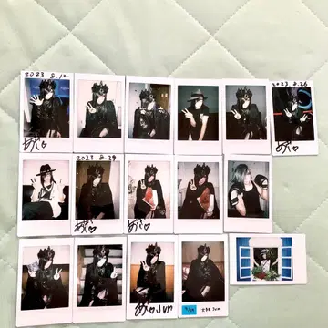 D ASAGI 아사기 폴라로이드 슈바르츠발트의 짐승 JVM 굿즈 싱글