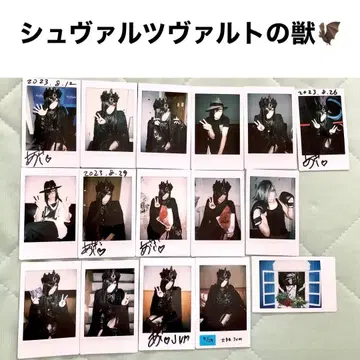 D ASAGI 아사기 폴라로이드 슈바르츠발트의 짐승 JVM 굿즈 싱글