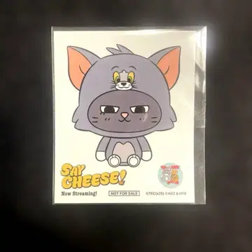 BOYNEXTDOOR 태산 탭툰 톰 제리 오프라인 이벤트 한정판 스티커