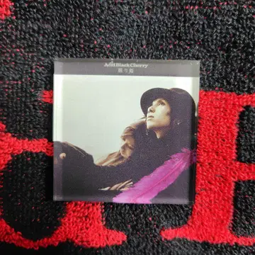 Acid Black Cherry 아크릴 마그넷 잠자는 공주