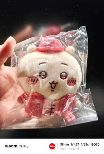 치이카와 상하이 한정판 봉제 인형