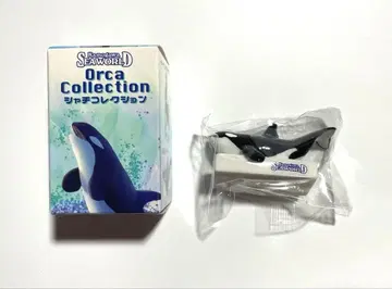 카모가와 씨 월드 범고래 컬렉션 결정 포즈