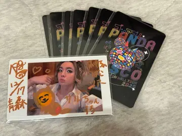 팬더드래곤 파라곤 나기 하피카 4