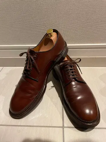 SHETLANDFOX 플레인토 코도반