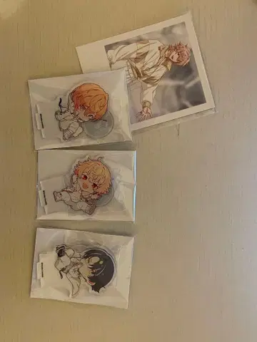 paradox live 파라라이 1Nm8 묶음 판매