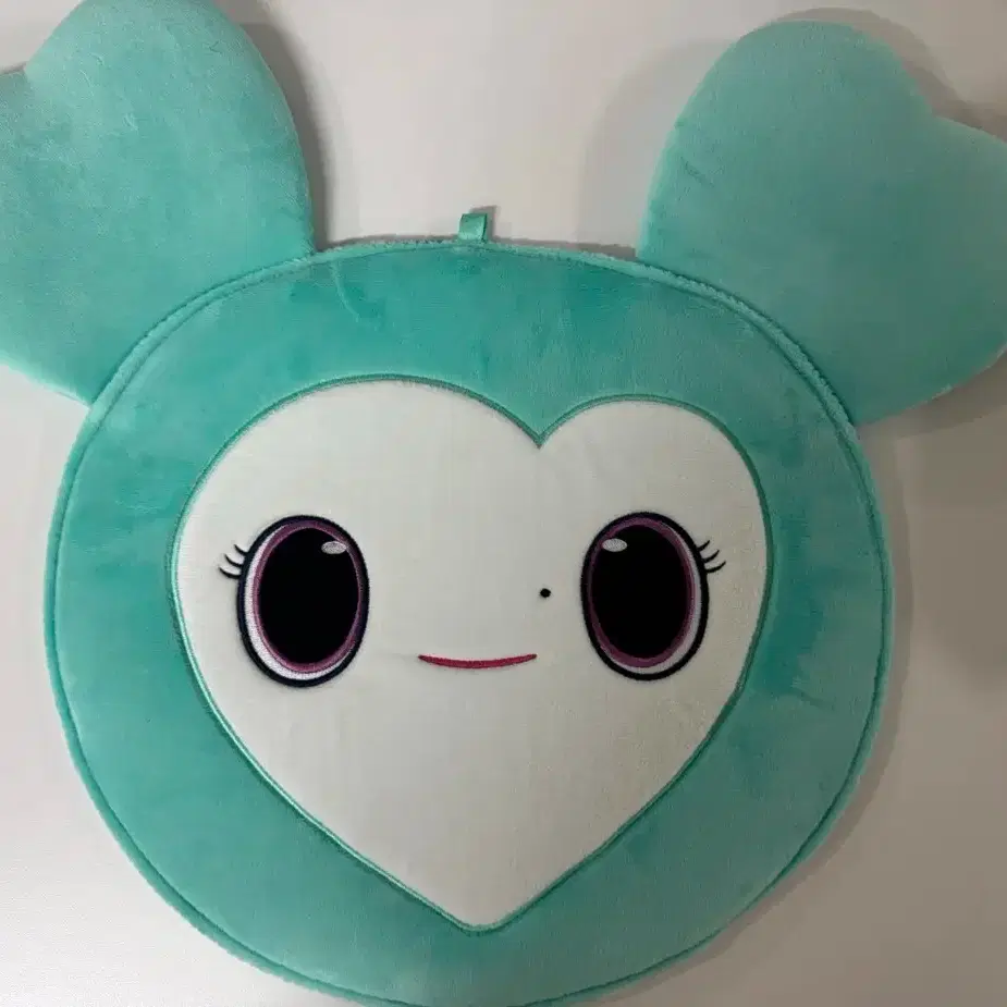 Twice Mina Wuchiwa Case