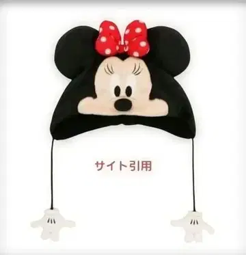 미니 마우스 팬 캡