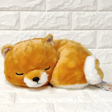 콩 시바 삼형제 봉제 인형