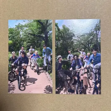 WATWING honest 트레이딩 카드 집합