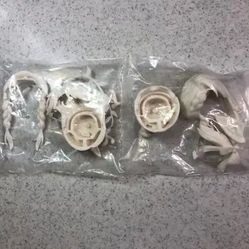 루나에게 바치는 크라우드 펀딩 특전 미도색 머리카락 부품