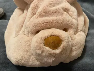 디즈니 푸우 팬캡