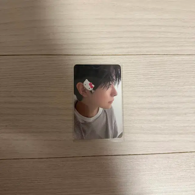 유우시 스테디 앨범 포카 양도