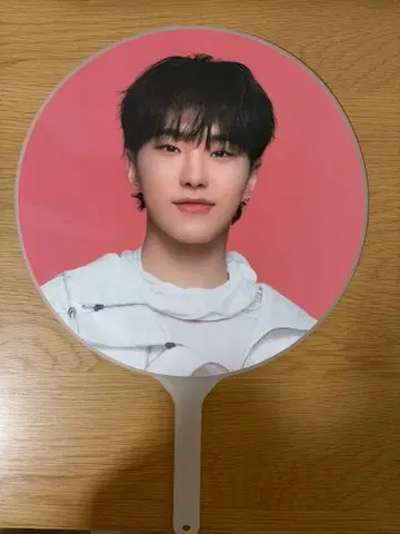 SEVENTEEN follow again to japan 호시 부채