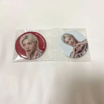 Stray Kids 스키즈 공차 한정판 배지 슬리브 필릭스