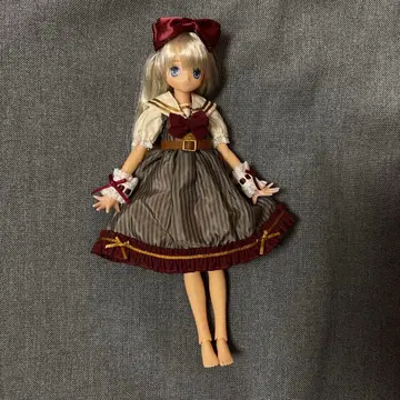 Azone 아존 인형 오토기노쿠니 파랑새 츠키 인형