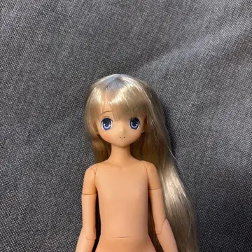 Azone 아존 인형 오토기노쿠니 파랑새 츠키 인형