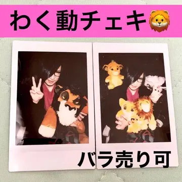 ASAGI 아사기 솔로 두근두근 동물 폴라로이드 굿즈 CD 아티스트 사진