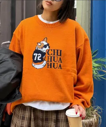 CIAOPANIC TYPY / 강아지 모듬 패턴 로고 자카드 니트 M