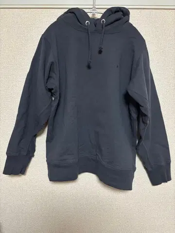 THE NORTH FACE PURPLE LABEL 후드티