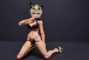 페인팅 완성품 타마모노마에 연회 메가미 디바이스 커스텀품