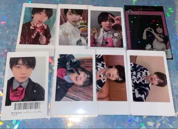 팬더드래곤 파라곤 하피카 나기 묶음 판매 5