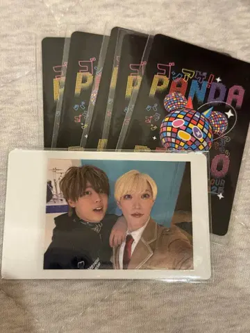 팬더드래곤 파라곤 나기 타이거 혼합