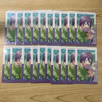 프로세카 에피카 카미시로 루이 특훈 전 23A