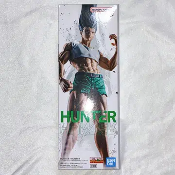 HUNTER x HUNTER 피그라이프 곤 피규어