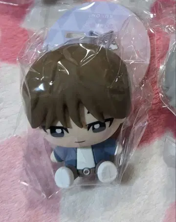 새상품 SEVENTEEN 산리오 피규어 원우