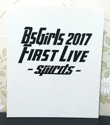 bsgirls 직필 사인 앨범 bsgravity 아이돌 오릭스