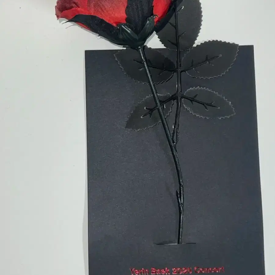 Yerin Baek photobook 1-4-3 sealed new product on Bunjang Global Site.